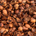 Filbert (Hazelnut) Shells (BULK)