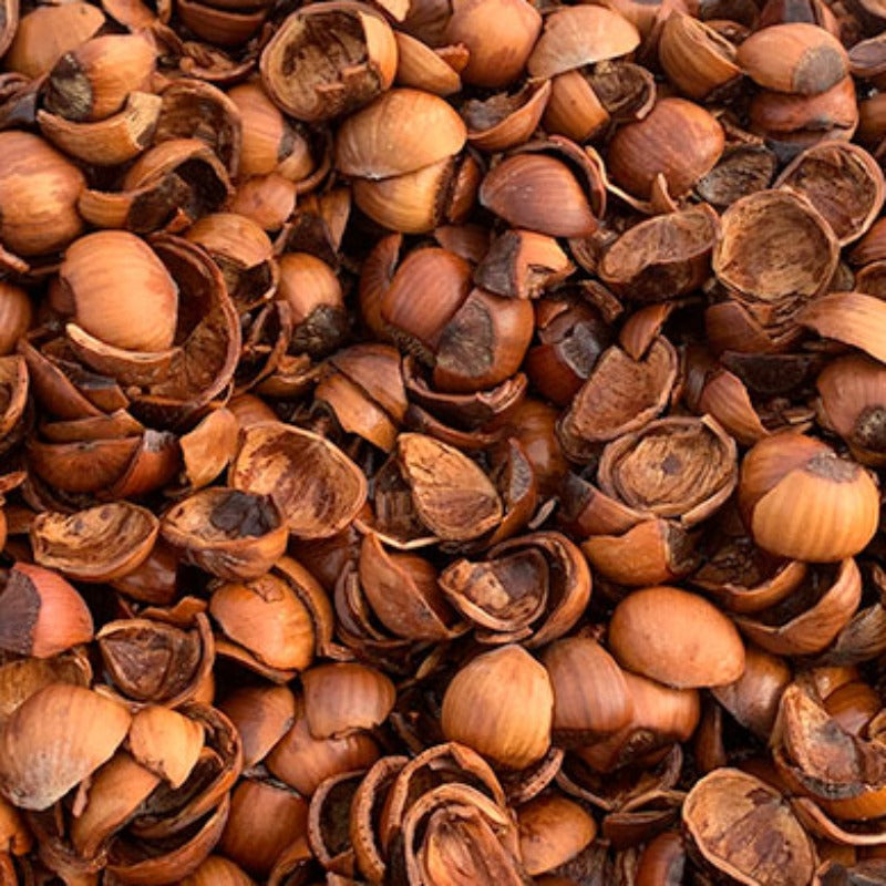 Filbert (Hazelnut) Shells (BULK)